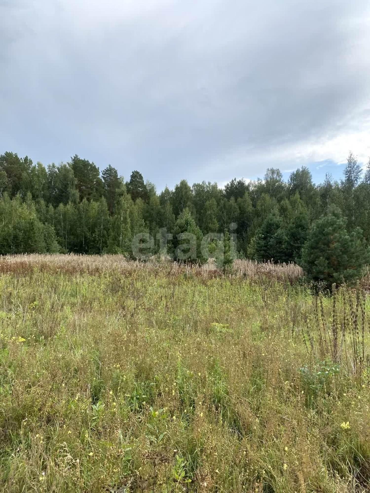Купить землю, земельный участок за 1 200 000 рублей на село Салаирка