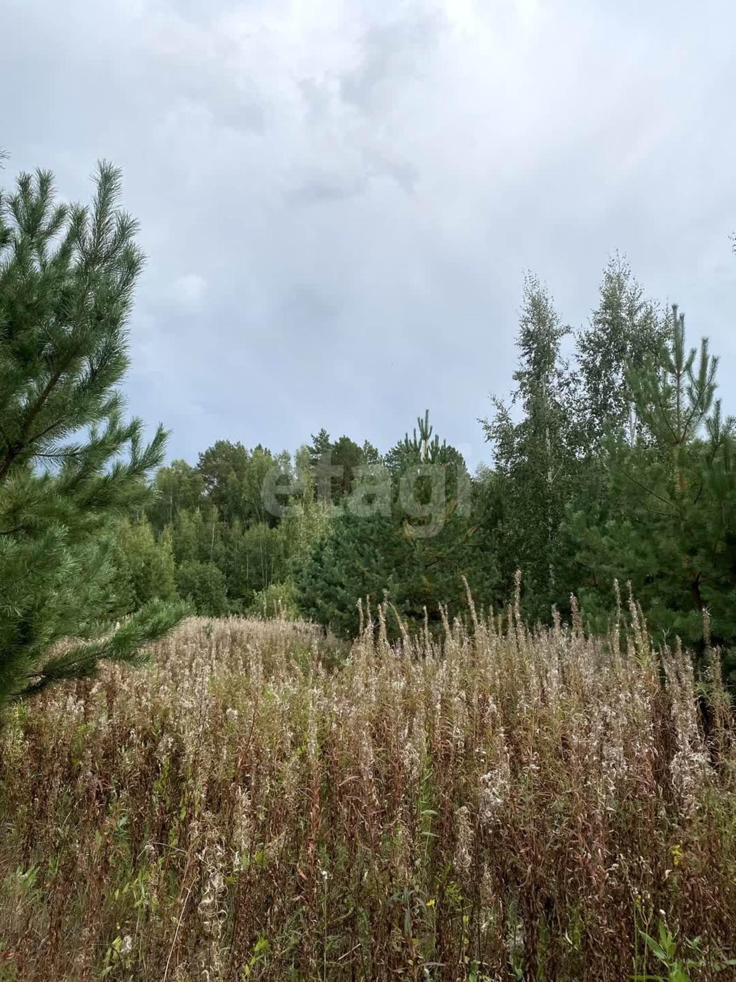 Купить землю, земельный участок за 1 200 000 рублей на село Салаирка