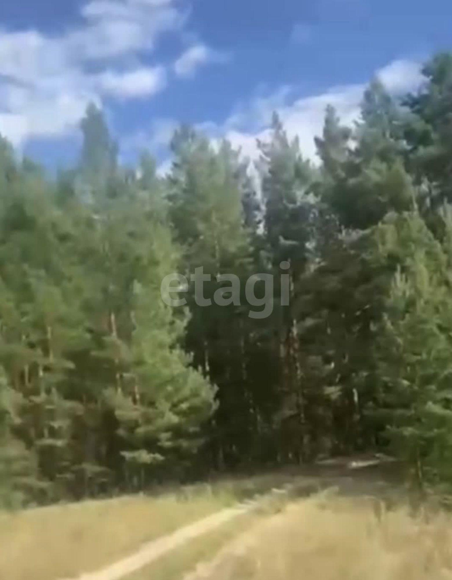 Купить землю, земельный участок за 1 200 000 рублей на село Салаирка
