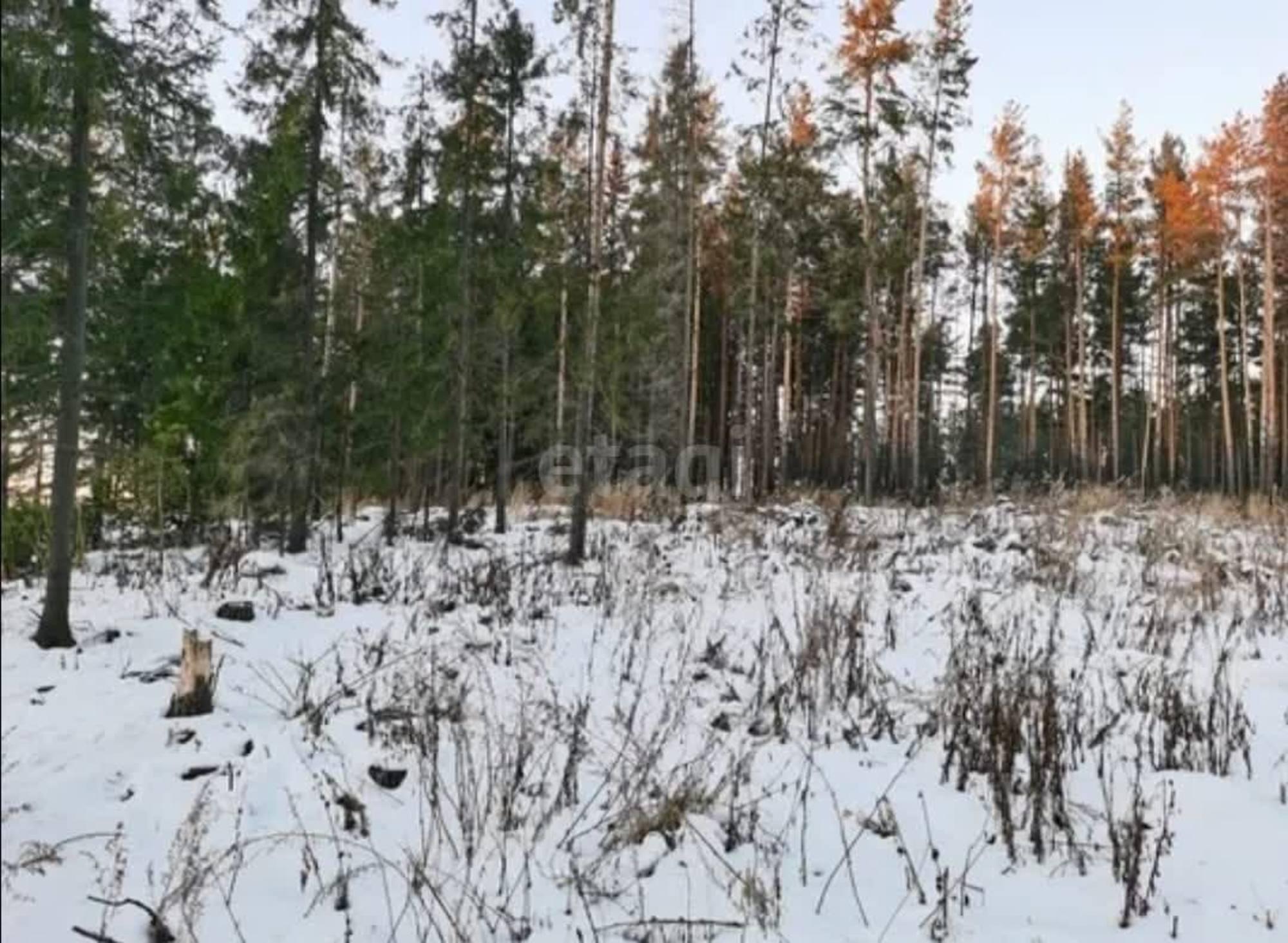Купить землю, земельный участок за 1 200 000 рублей на Ревда, 3
