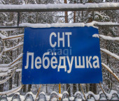 земля 20 сот Лебедушка с/о