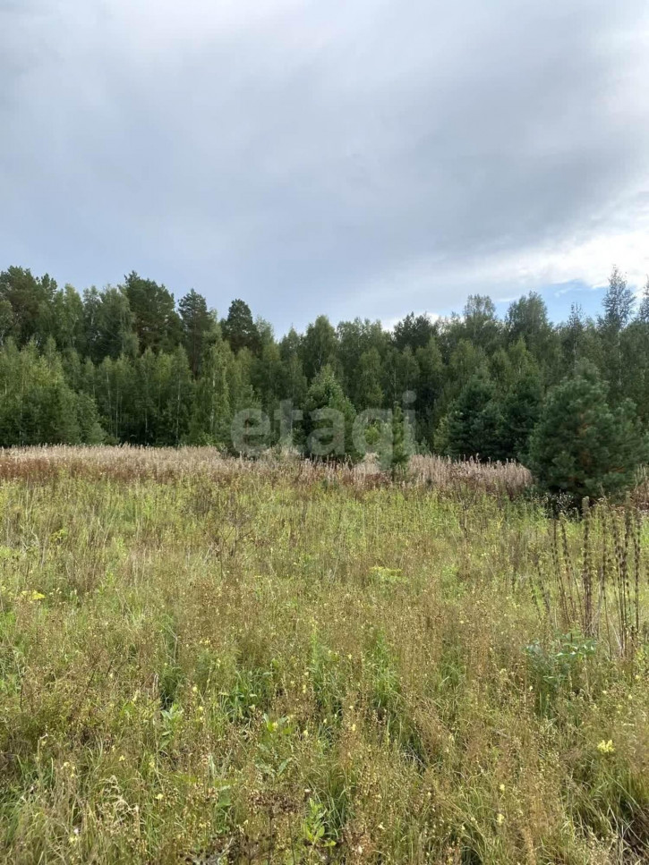 Земельный участок село Салаирка