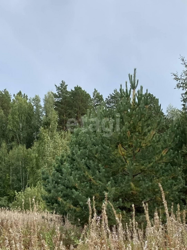Земельный участок село Салаирка