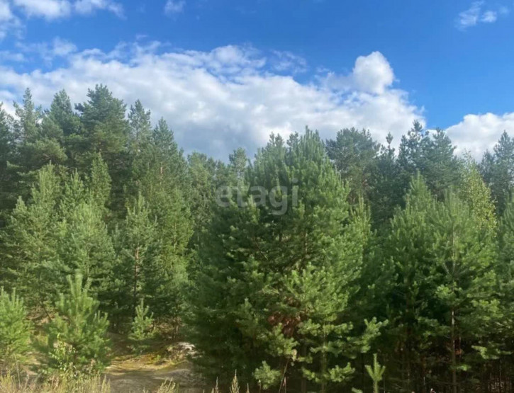 Земельный участок село Салаирка
