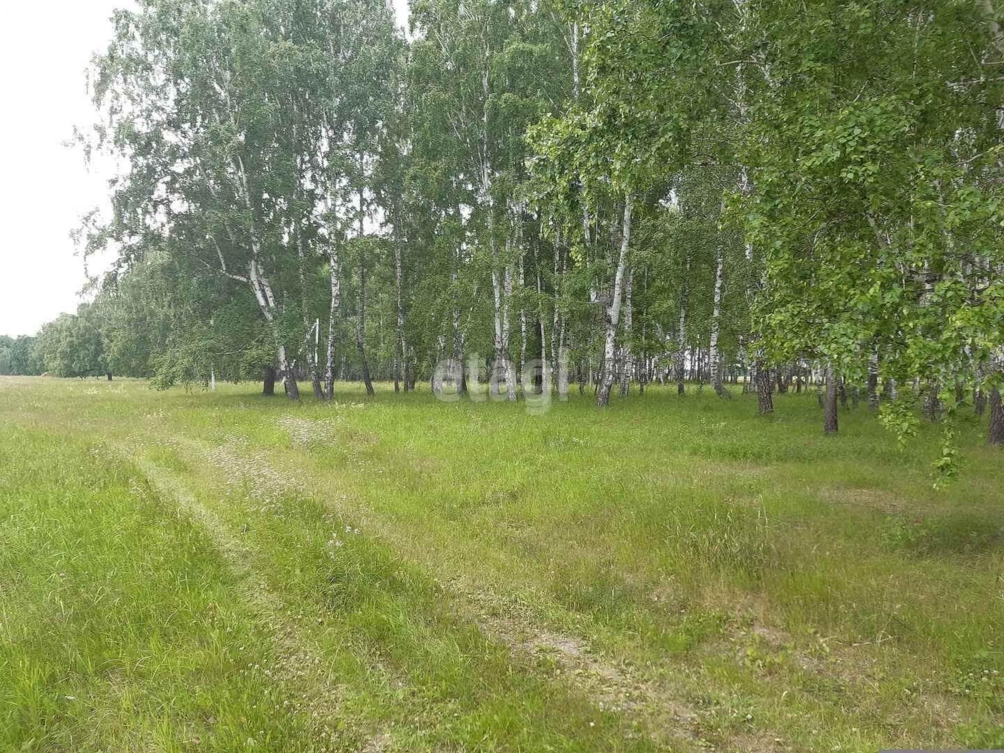 Купить землю, земельный участок за 430 000 рублей на Мира,