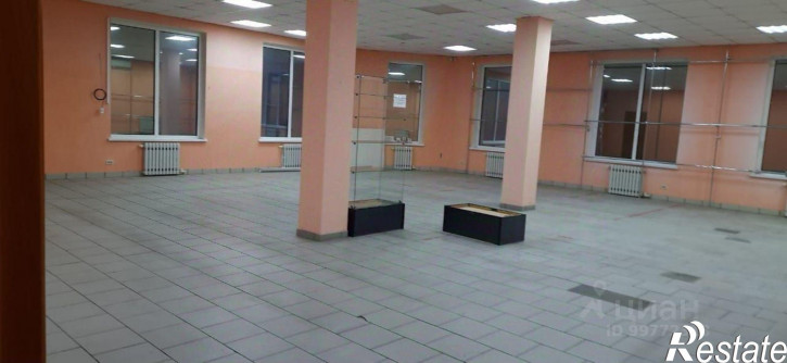 Торговое помещение улица Пушкина