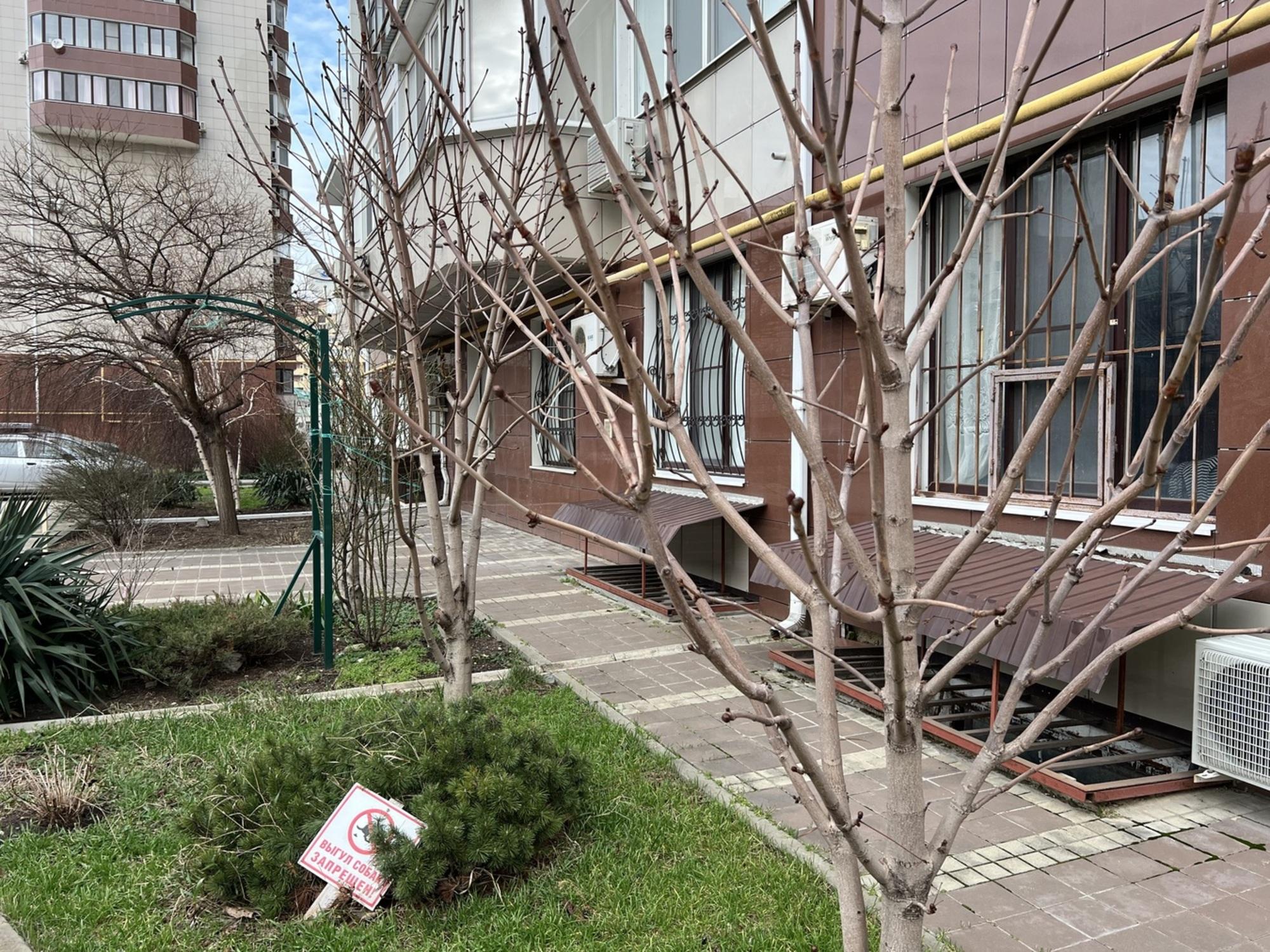 Купить помещение свободного назначения за 4 350 000 рублей на Анапа