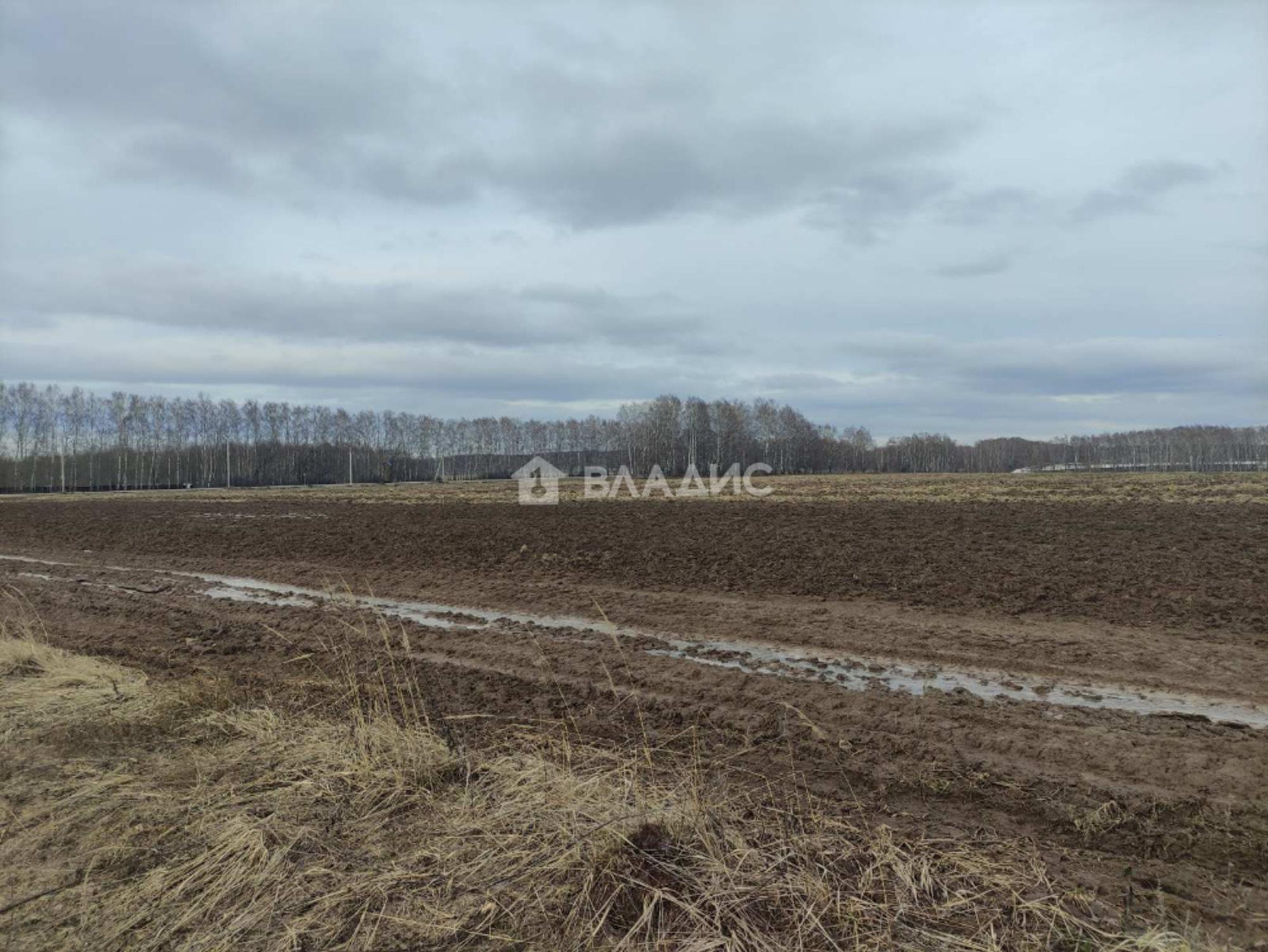 Купить землю, земельный участок за 600 000 рублей на село Алешково
