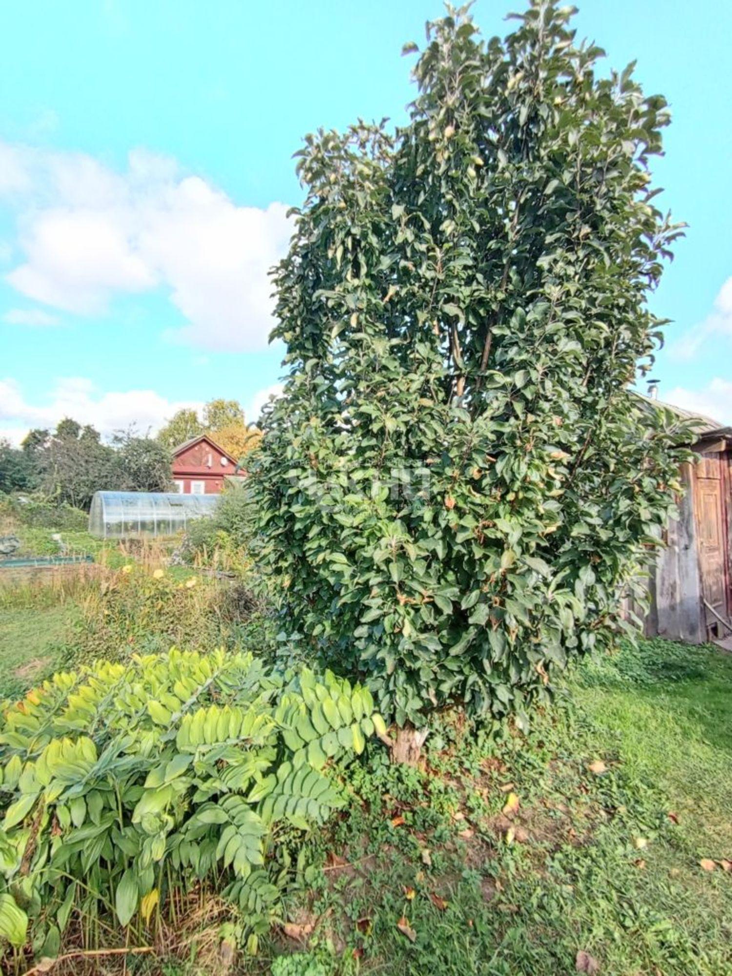 Купить землю, земельный участок за 3 600 000 рублей на Городец