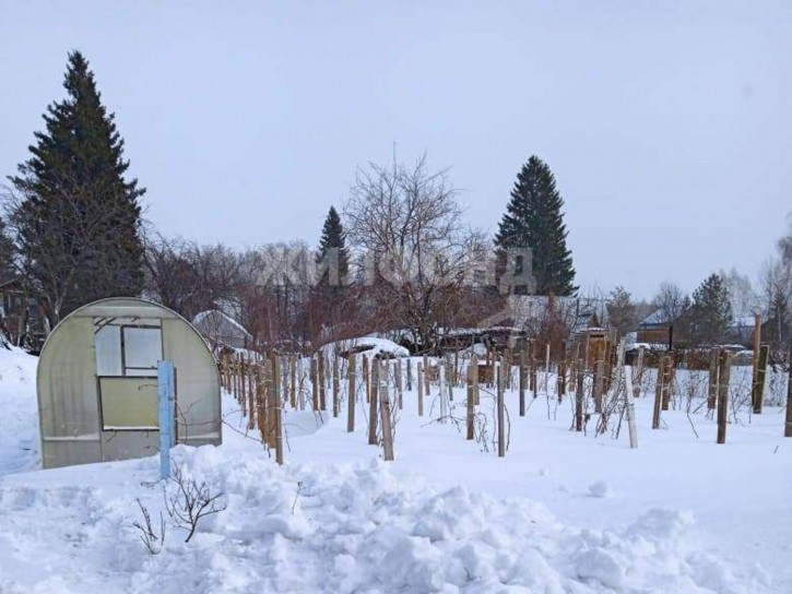 Коттедж/дом Новосибирск