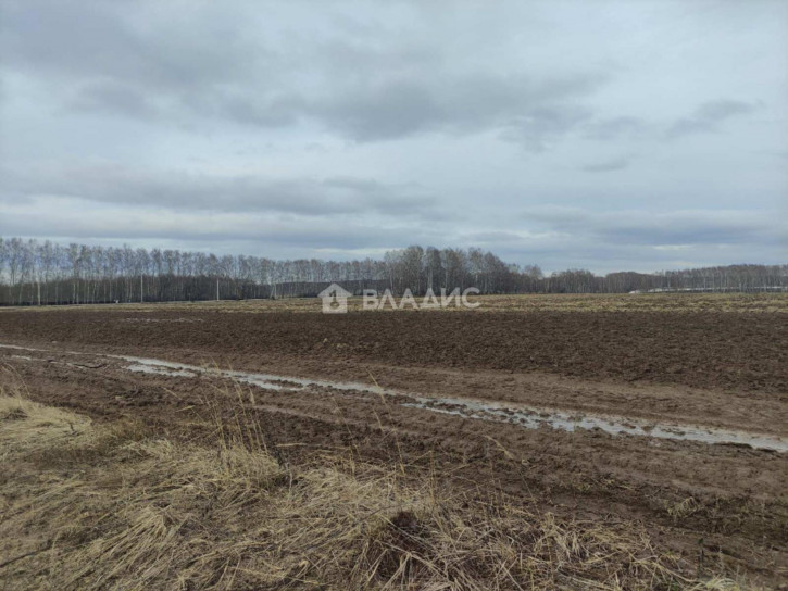 Земельный участок село Алешково