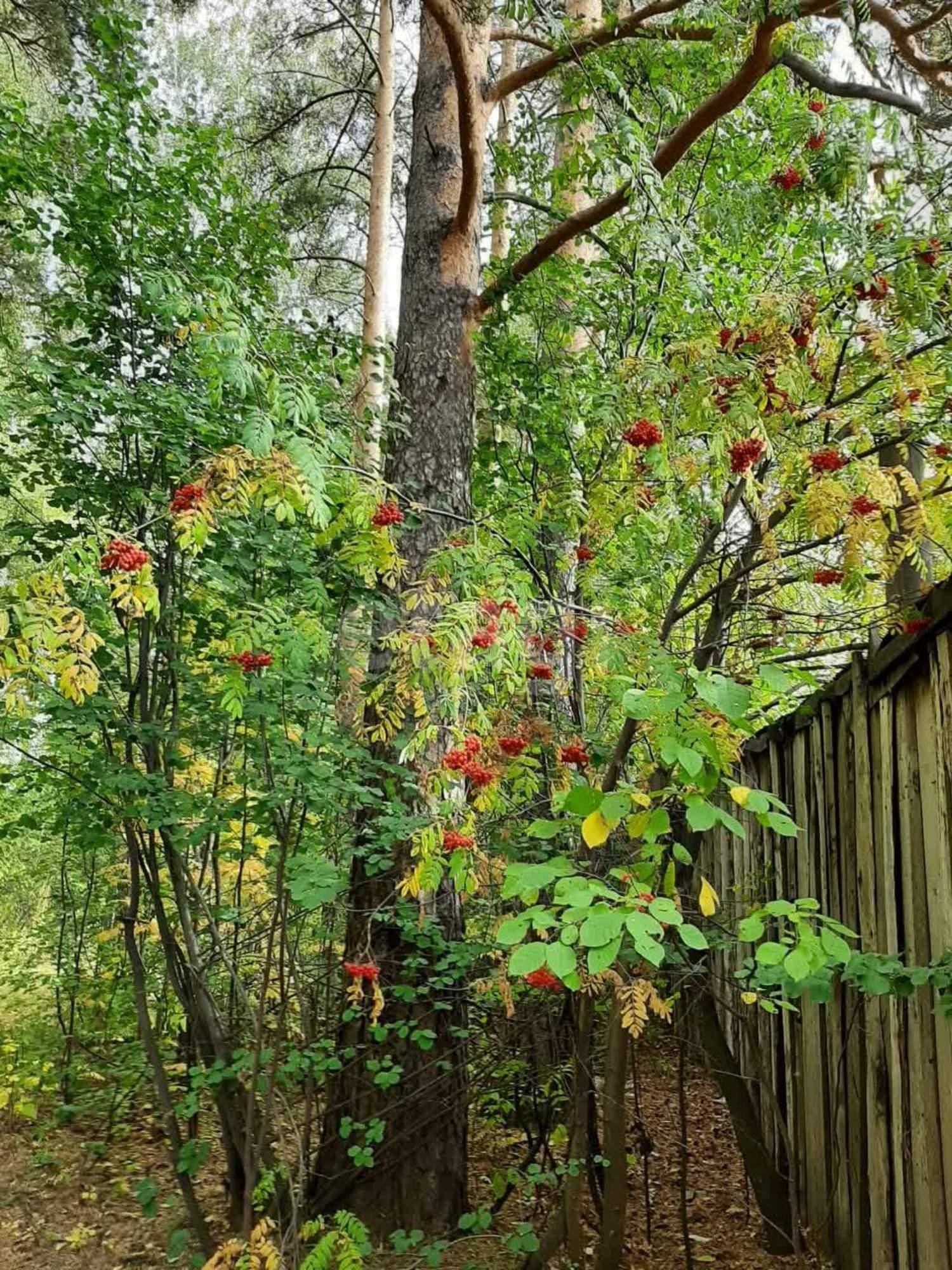 Купить дачу, дом, коттедж за 6 350 000 рублей на СНТ Учитель, 9
