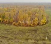 земля 11.5 сот Горьковское МО