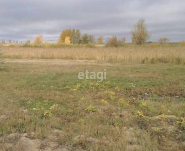 Земельный участок Омь СНТ