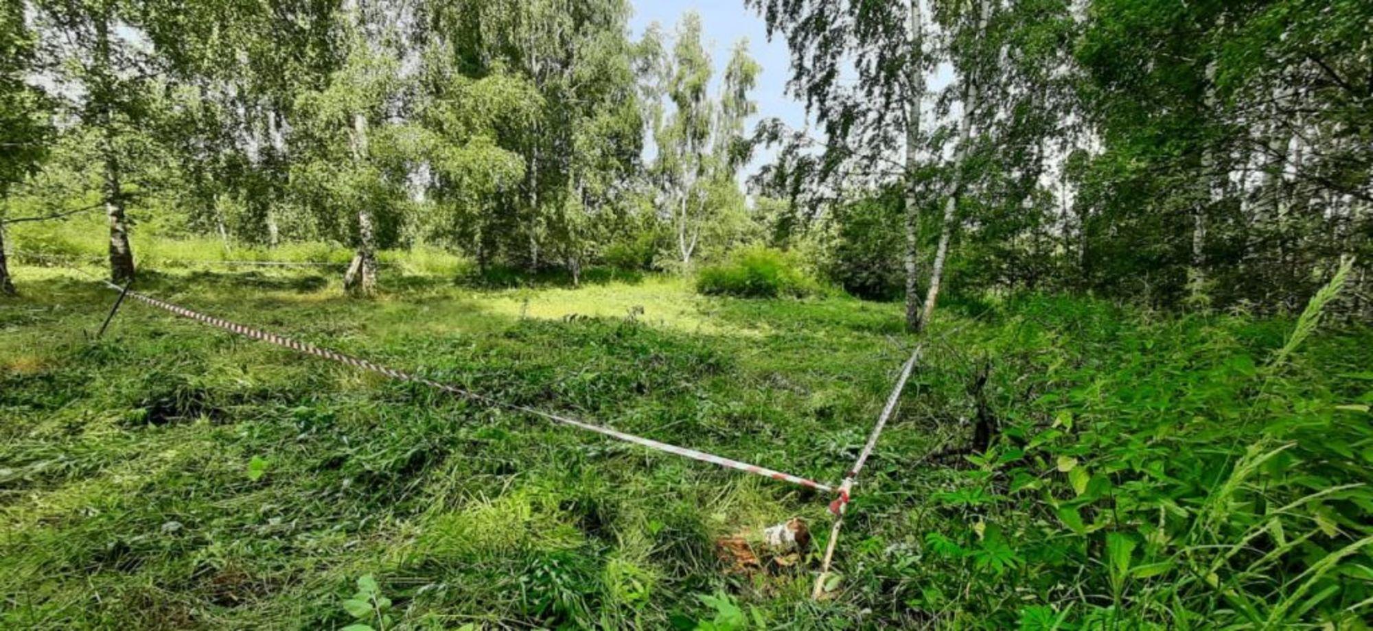 Купить землю, земельный участок за 350 000 рублей на Миловка сад, 145
