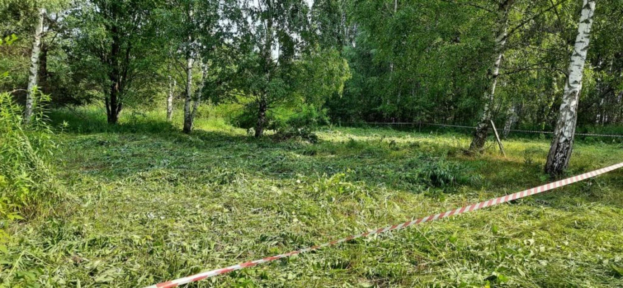Купить землю, земельный участок за 350 000 рублей на Миловка сад, 145