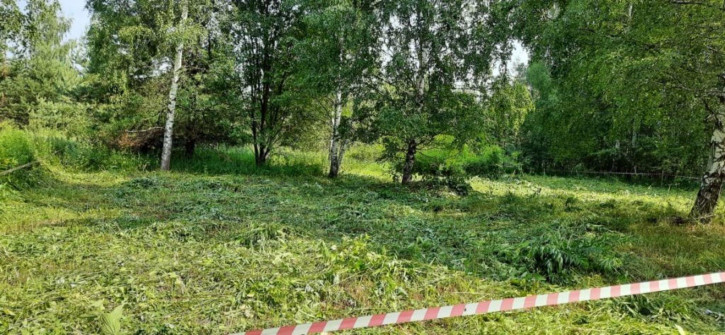 Земельный участок Миловка сад, 145