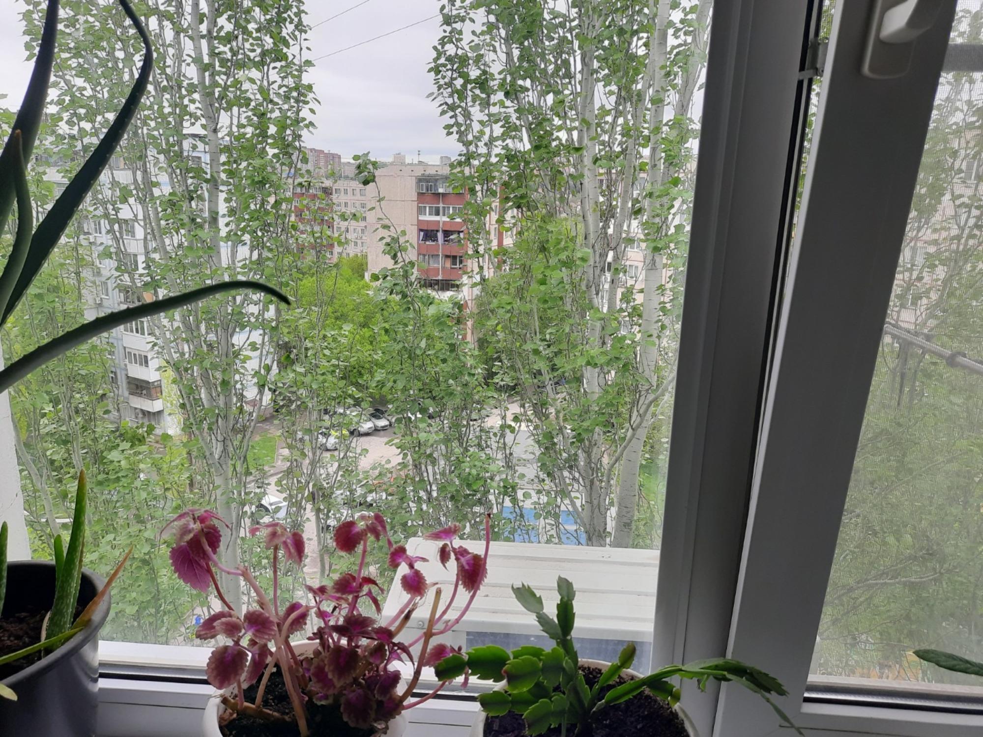 Купить квартиру за 2 850 000 рублей на улица Миронова,3