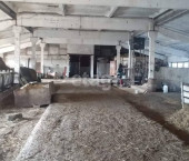 помещение 11827 кв м Центральная 2