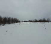 земля 15 сот 
