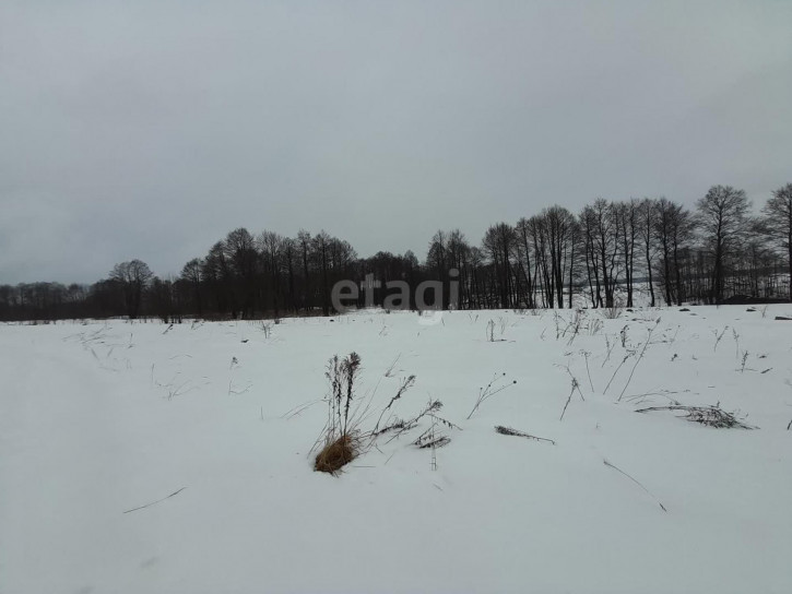 Земельный участок