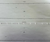 помещение 1252 кв м ул Брянская 2-я, 12Д