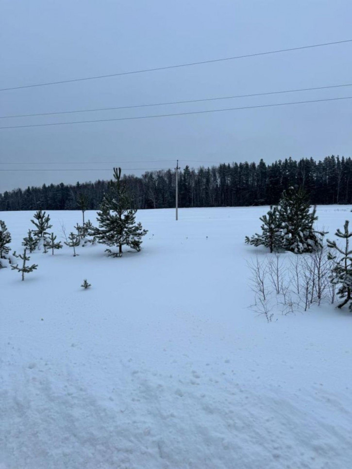 Земельный участок Храброво д