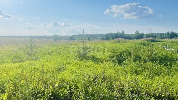 Земельный участок село Первомайское, 1335