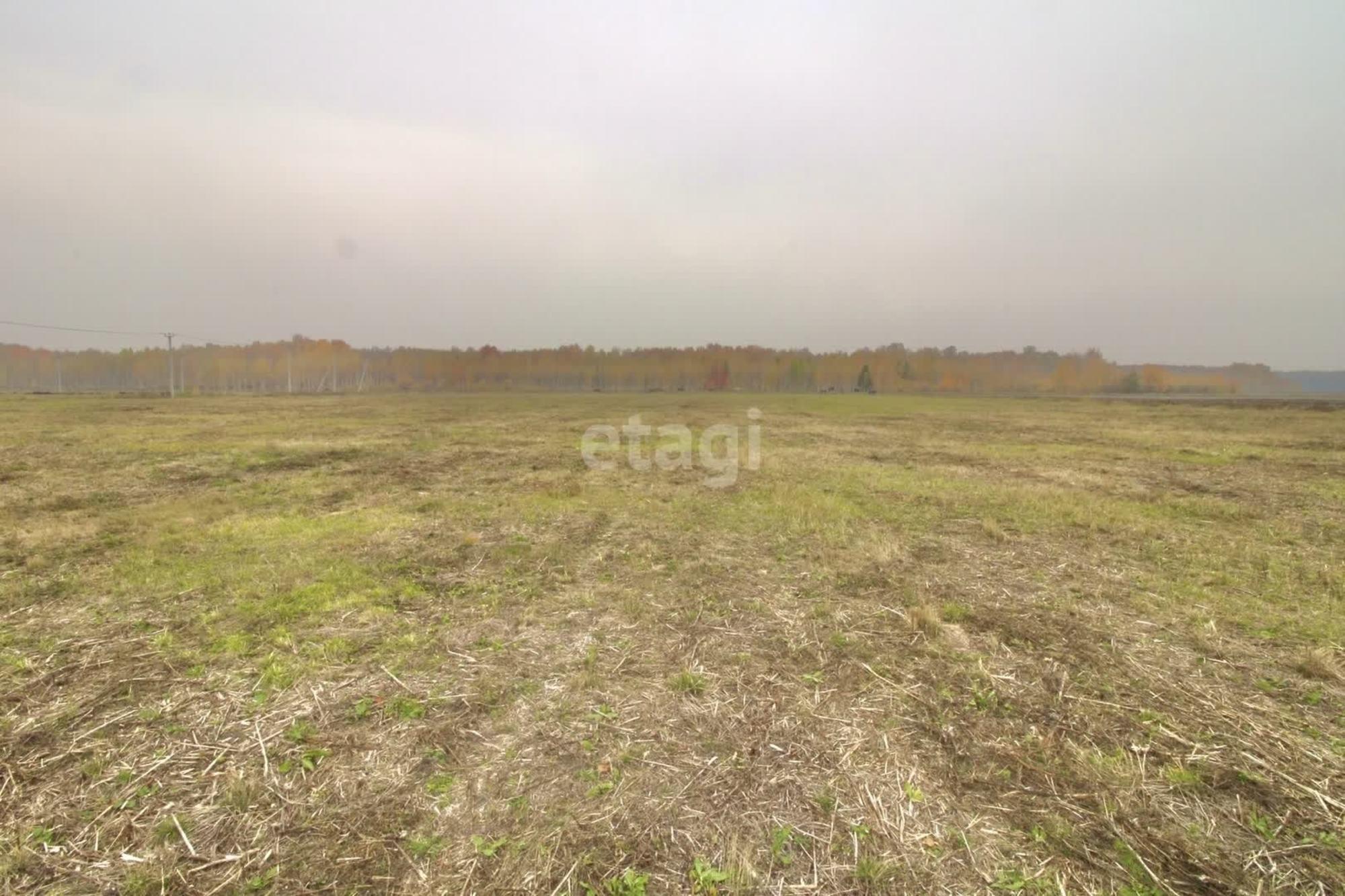 Продажа участка Горьковское МО