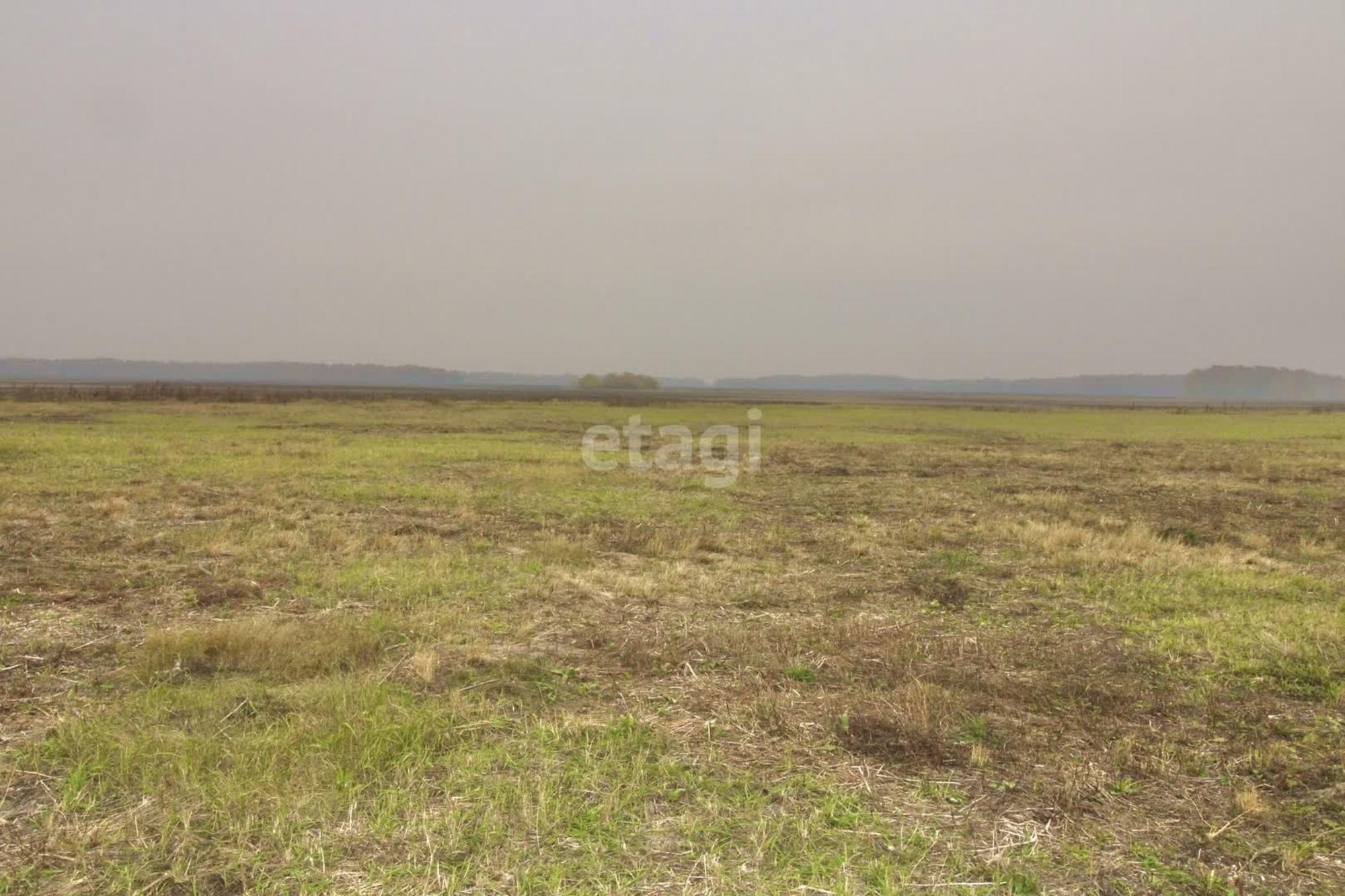 Продажа участка Горьковское МО