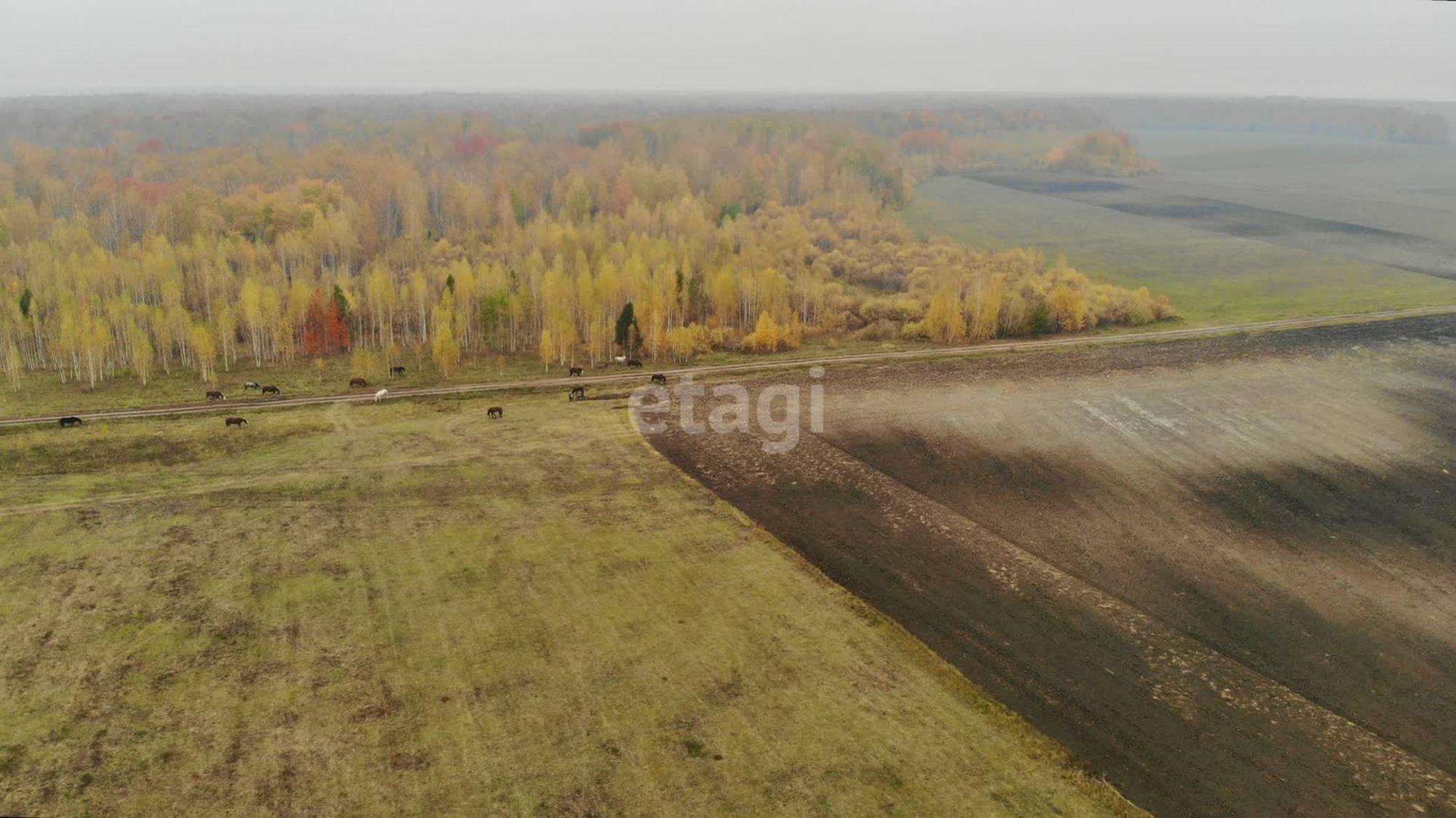 Продажа участка Горьковское МО