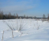 земля 12.4 сот Садовая улица