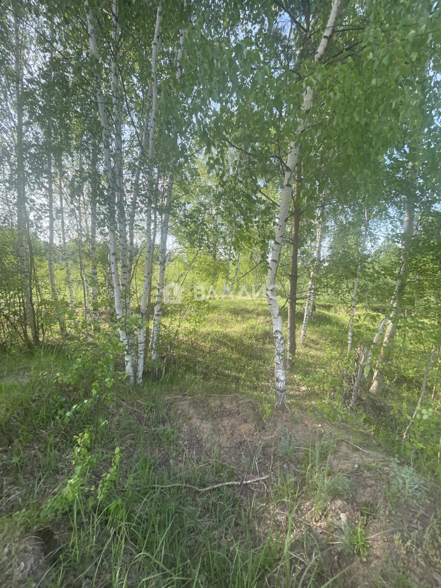 Купить землю, земельный участок за 300 000 рублей