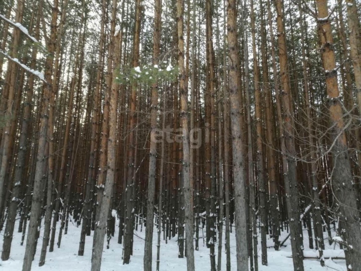 Земельный участок Речкина