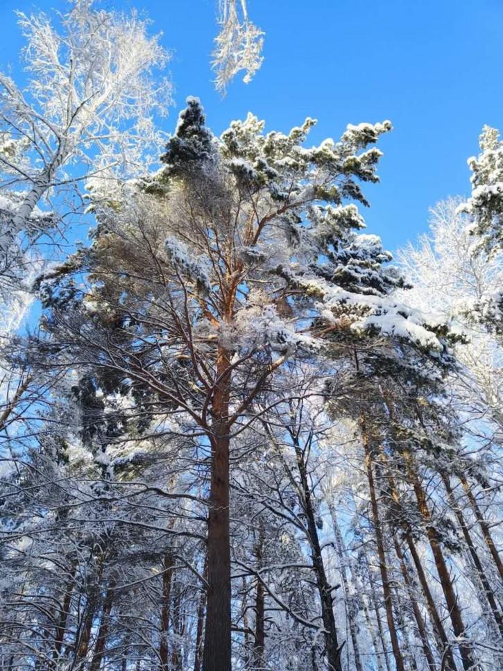 Земельный участок Нариманова