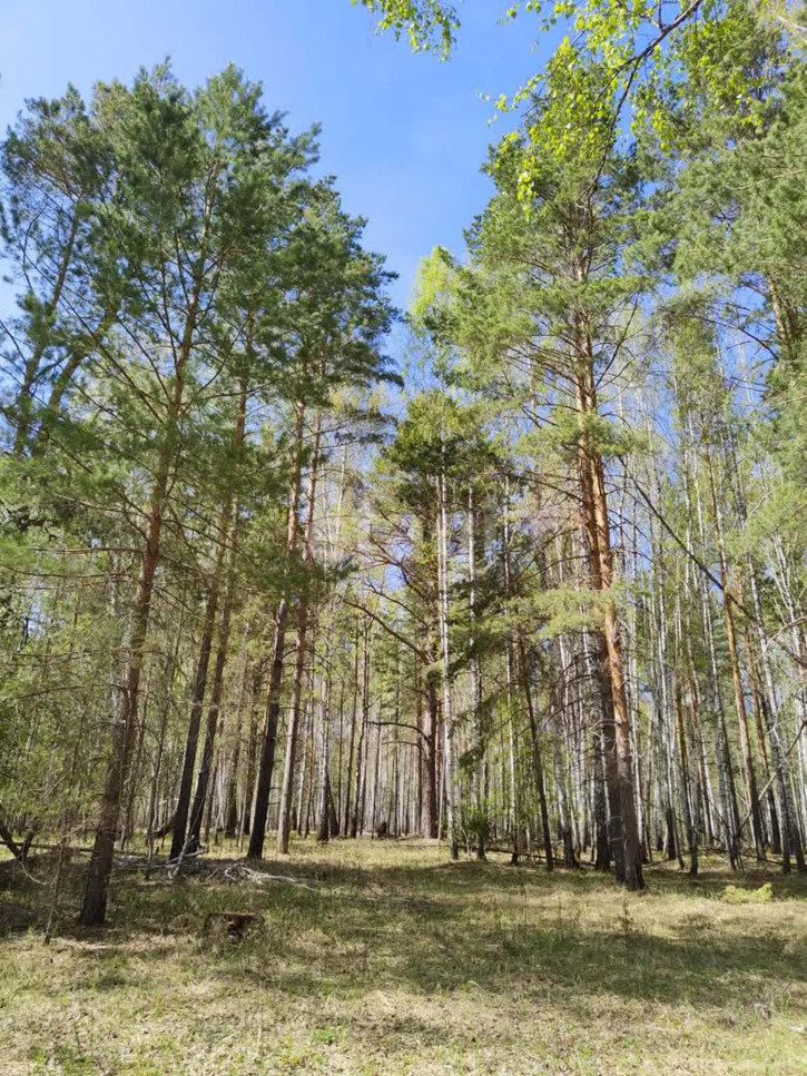 Земельный участок Нариманова