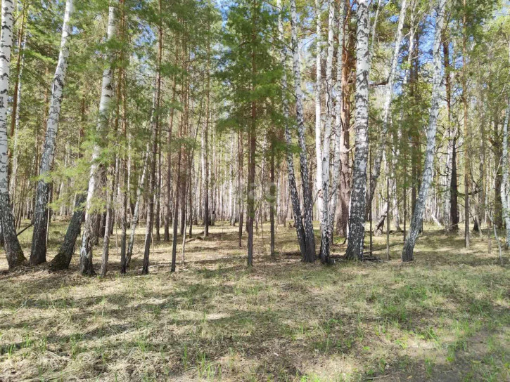 Земельный участок Нариманова