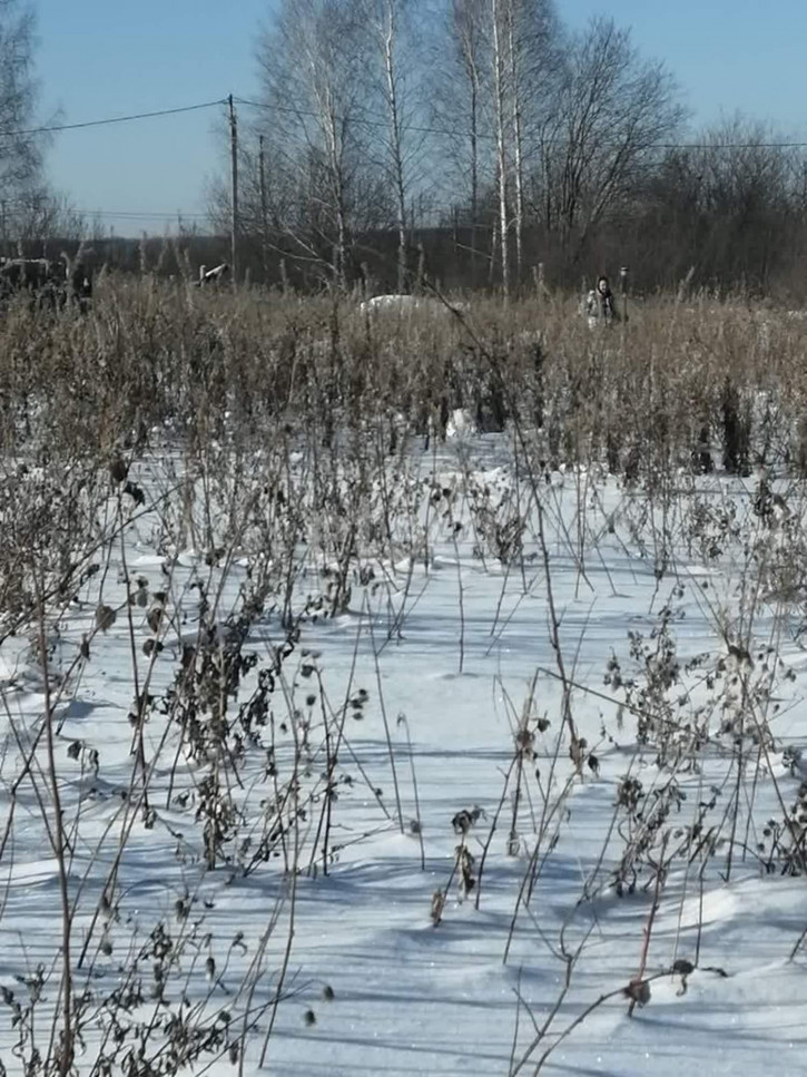 Земельный участок Новая,