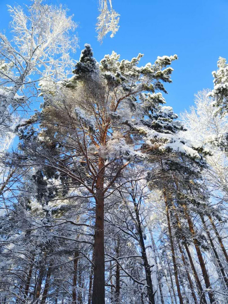 Земельный участок Нариманова