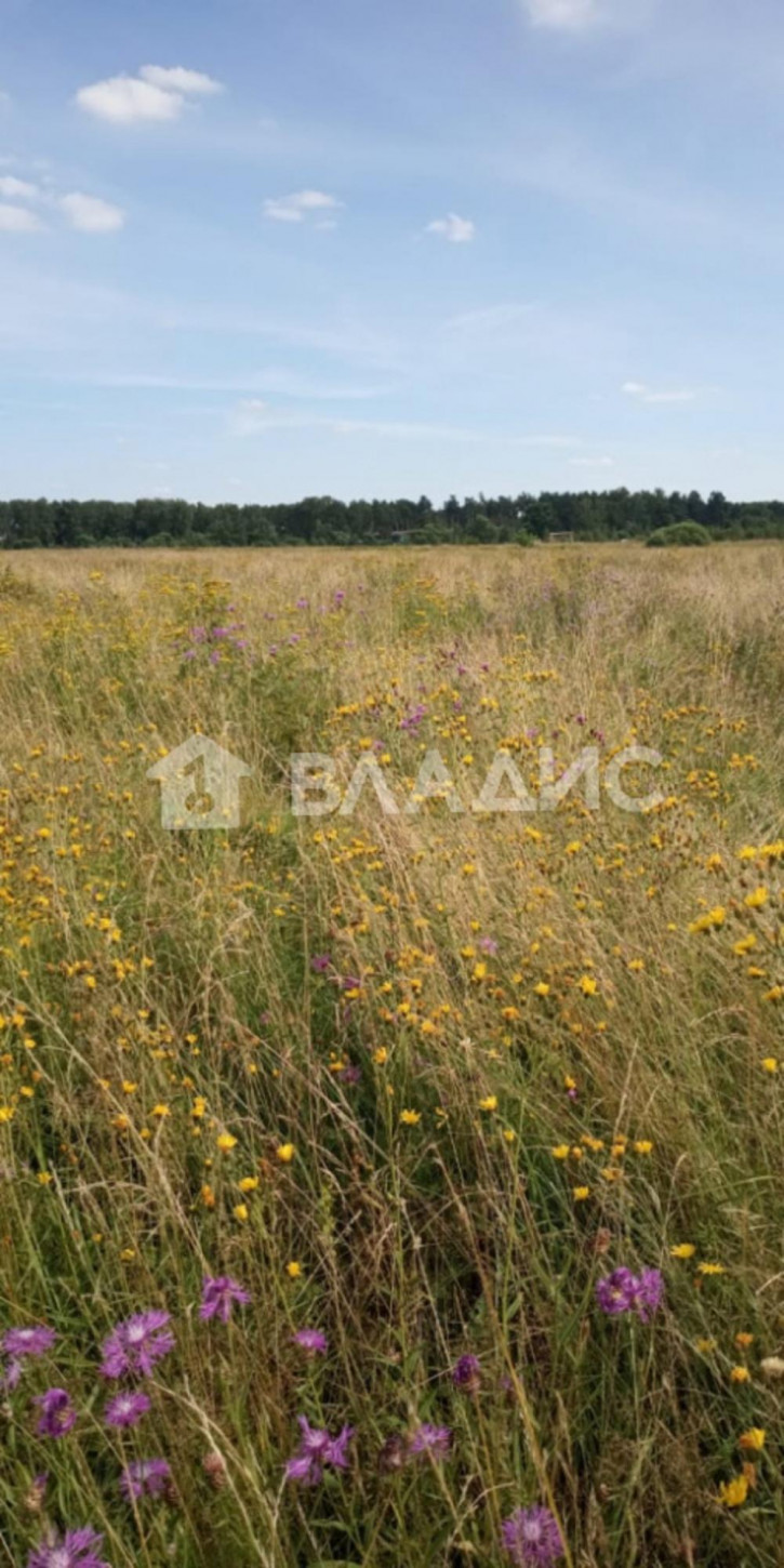 Земельный участок