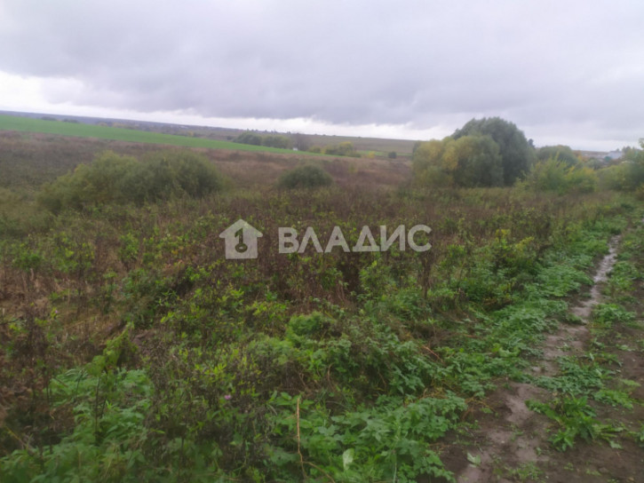 Земельный участок Пантелеевская улица