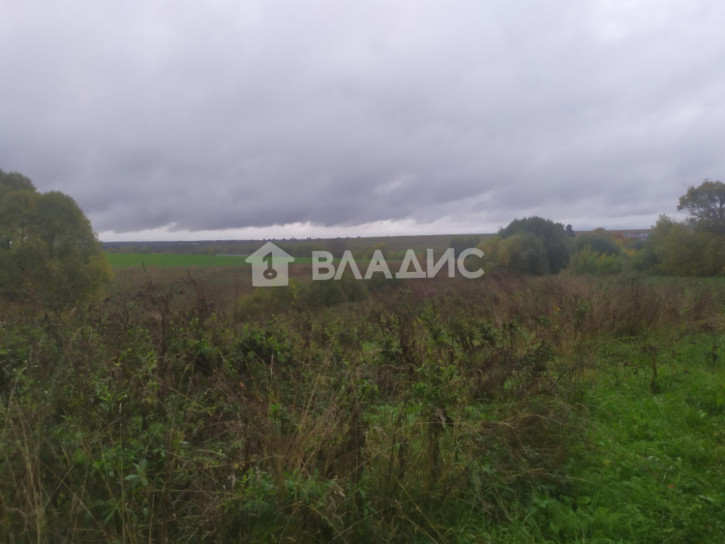 Земельный участок Пантелеевская улица