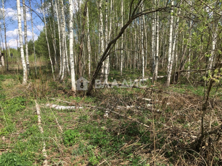 Земельный участок Октябрьский район