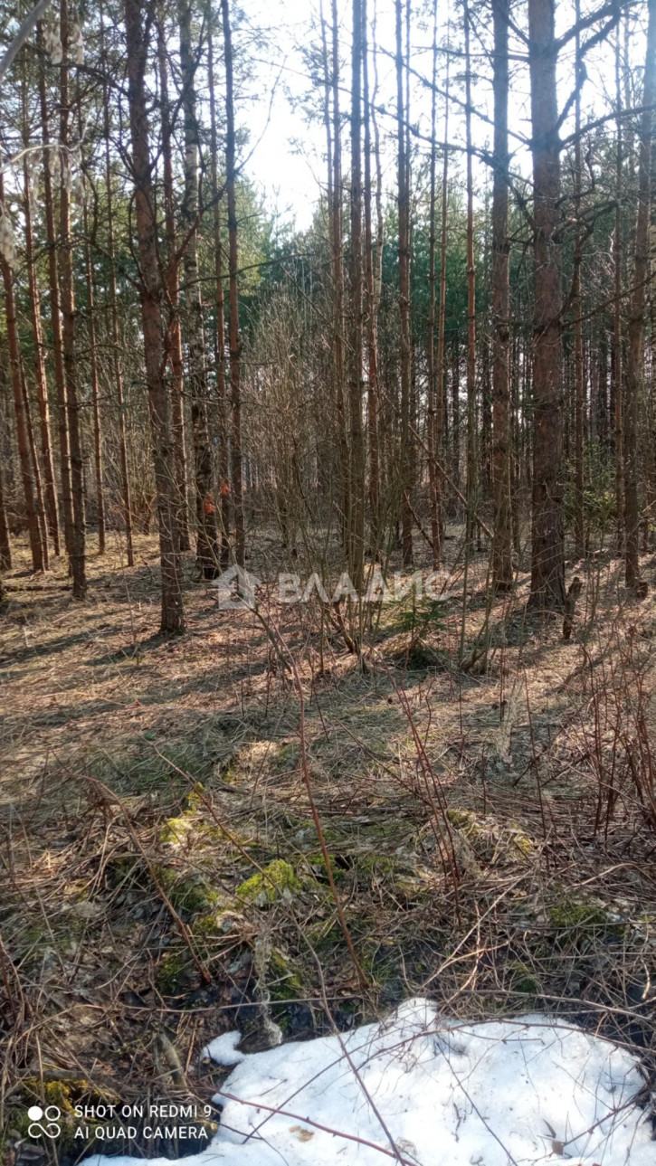 Земельный участок 17Н-663