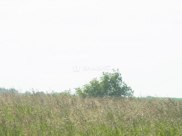 Земельный участок