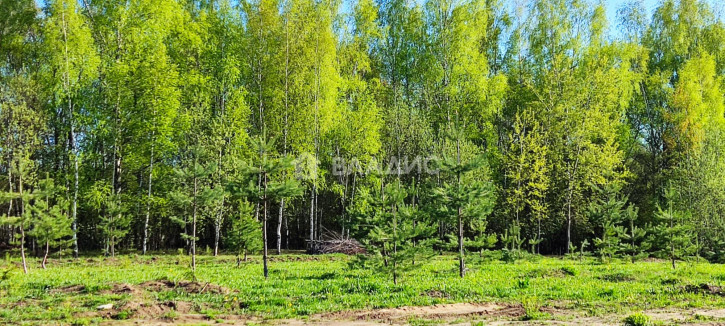 Земельный участок Ленинский район