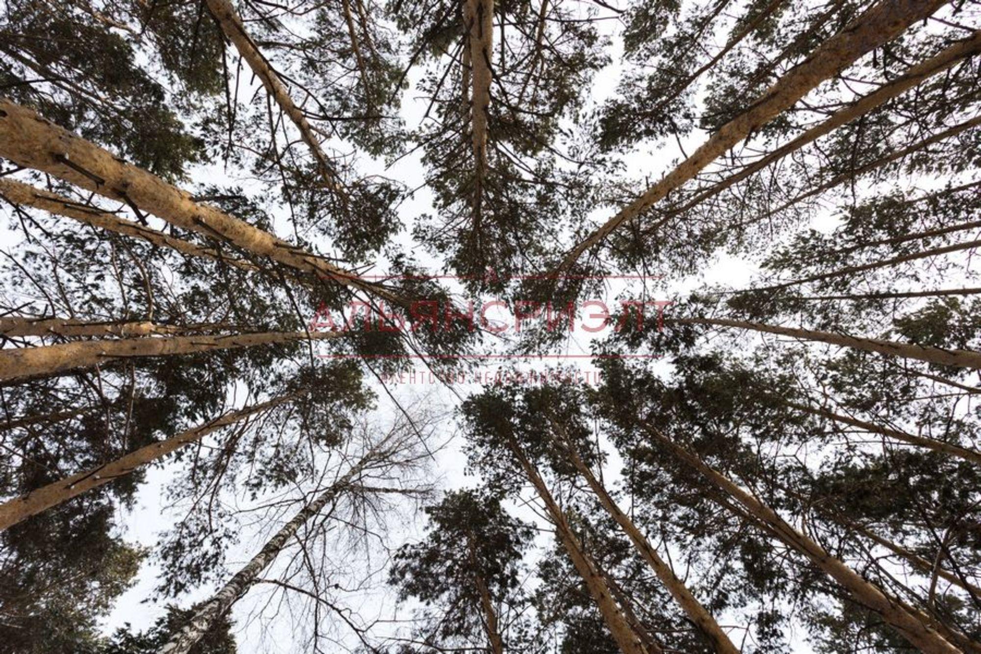 Купить дачу, дом, коттедж за 16 500 000 рублей на Кудряшовский