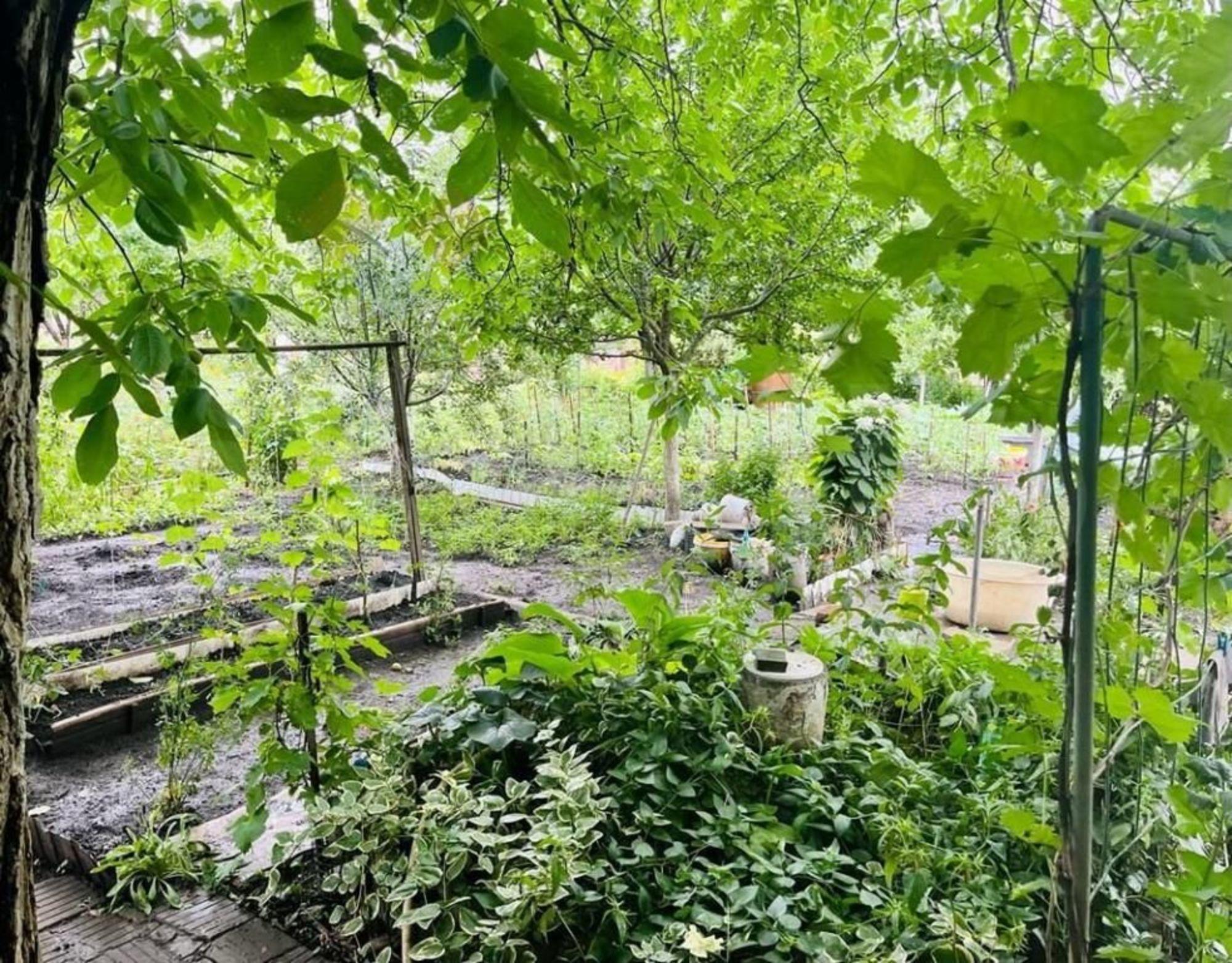 Купить дачу, дом, коттедж за 5 850 000 рублей на Виноградная ул