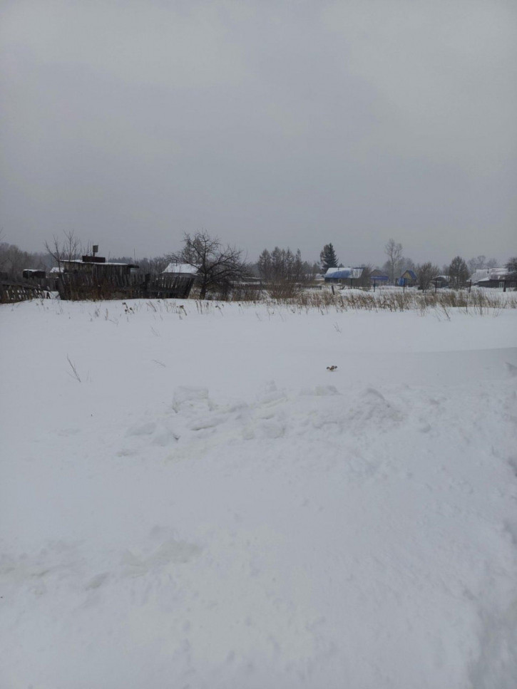 Коттедж/дом Лесная улица, 5