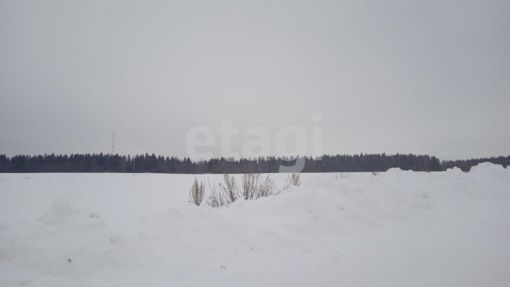 Земельный участок Сусанино пгт.